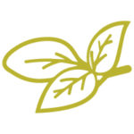 Gli-aromatizzati-cipa-agricola