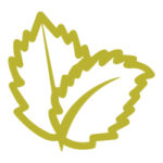 Gli-aromatizzati-cipa-agricola