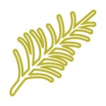 Gli-aromatizzati-cipa-agricola